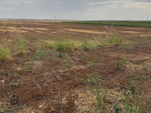Akçakale, Şanliurfa içerisinde satılık Arsa