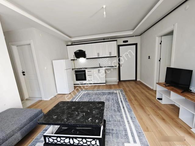 Kavak, Samsun içerisinde kiralık mülk