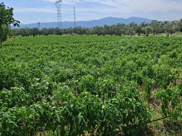 Orhangazi, Bursa içerisinde satılık Arsa
