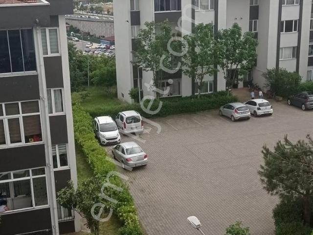 Pendik, İstanbul içerisinde kiralık mülk
