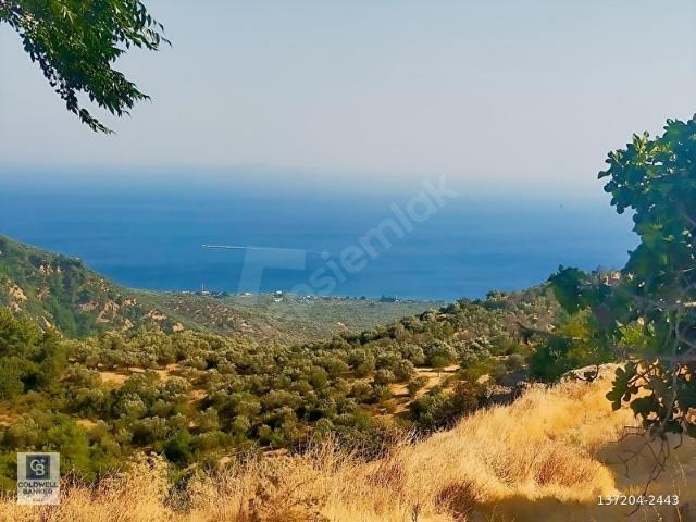 Ayvacık, Ayvacik içerisinde satılık Arsa