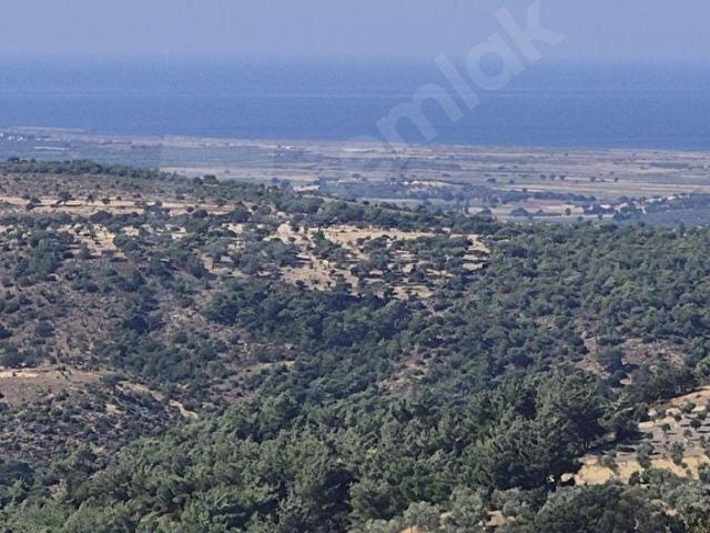 Karbastı, Ayvacık içerisinde satılık Arsa