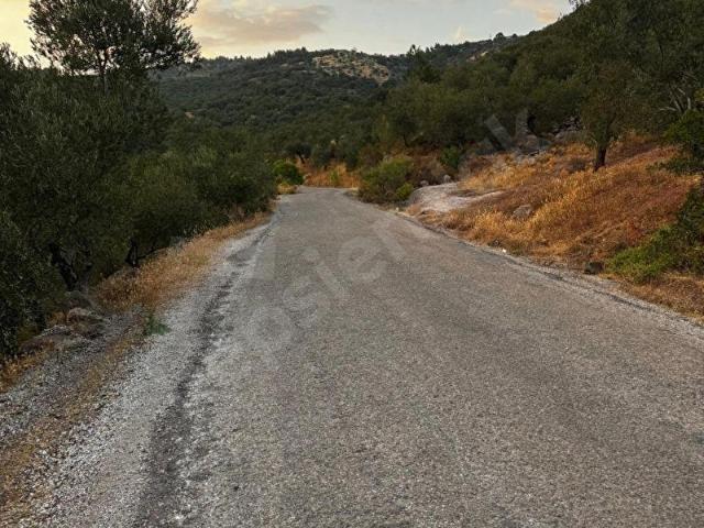 Demirci, Ayvacık içerisinde satılık mülk