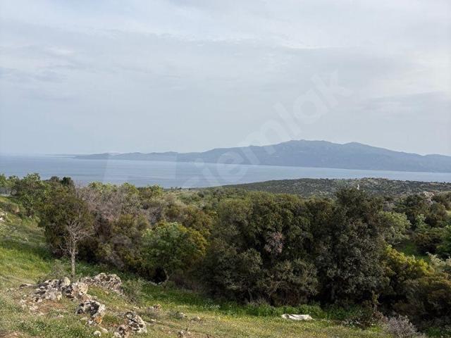 Balabanlı, Ayvacık içerisinde satılık Arsa