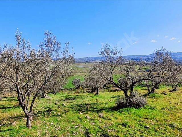 Ayvacık, Ayvacik içerisinde satılık mülk