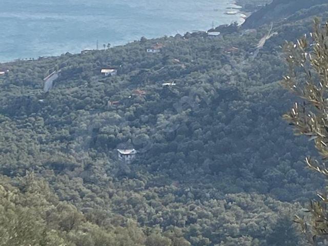 Kayalar, Ayvacık içerisinde satılık mülk