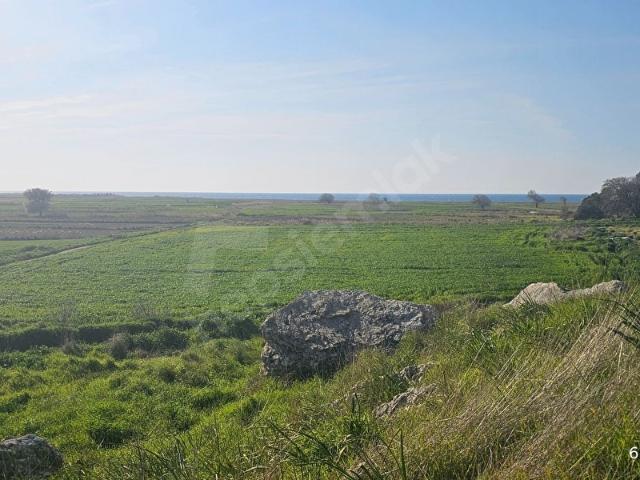 Kösedere, Ayvacık içerisinde satılık Arsa
