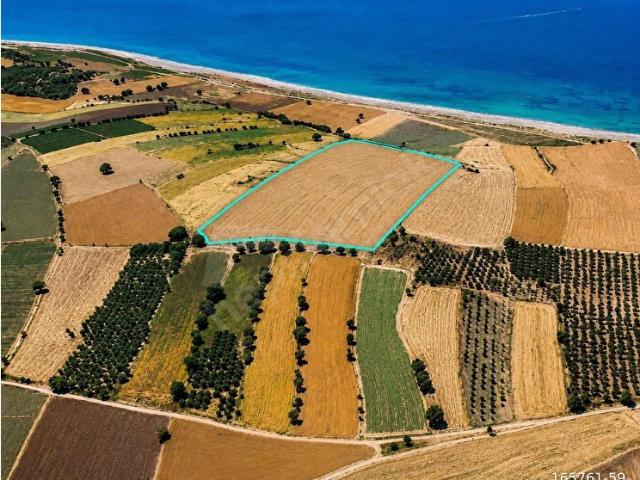 Kösedere, Ayvacık içerisinde satılık Arsa
