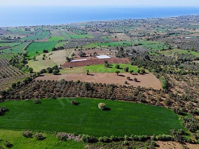 Kösedere, Ayvacık içerisinde satılık Arsa