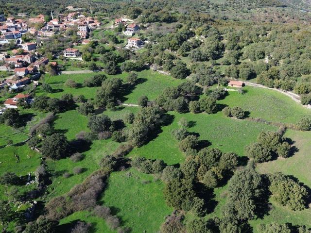 Söğütlü, Ayvacık içerisinde satılık Arsa