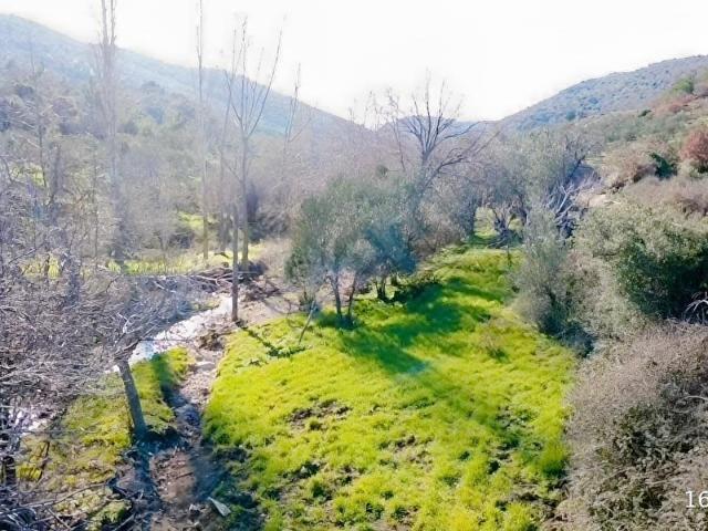 Taşboğaz, Ayvacık içerisinde satılık Arsa