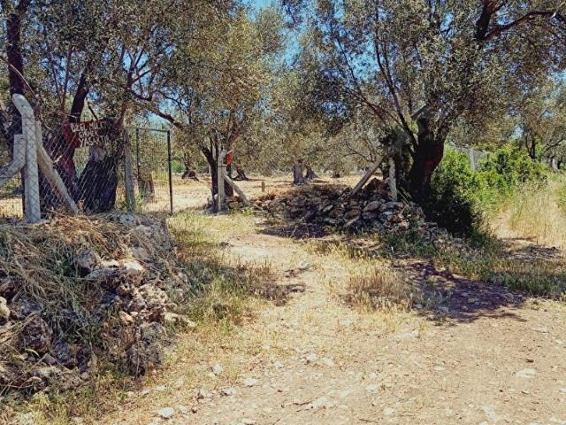 Ayvalik, Balikesir içerisinde satılık mülk