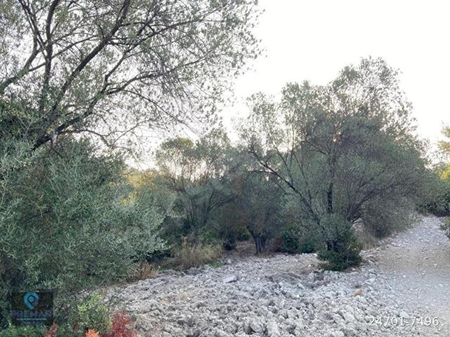 Ayvalik, Balikesir içerisinde satılık mülk