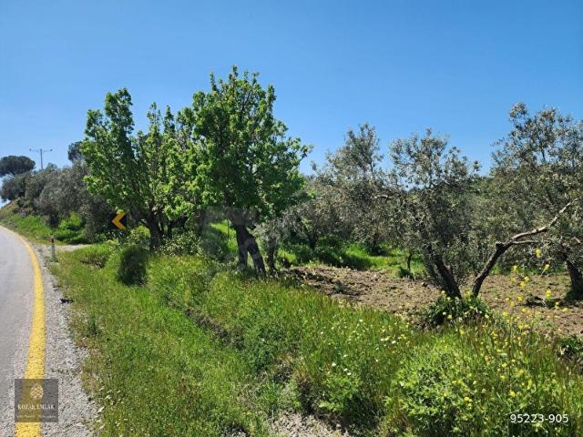 Ayvalik, Balikesir içerisinde satılık mülk
