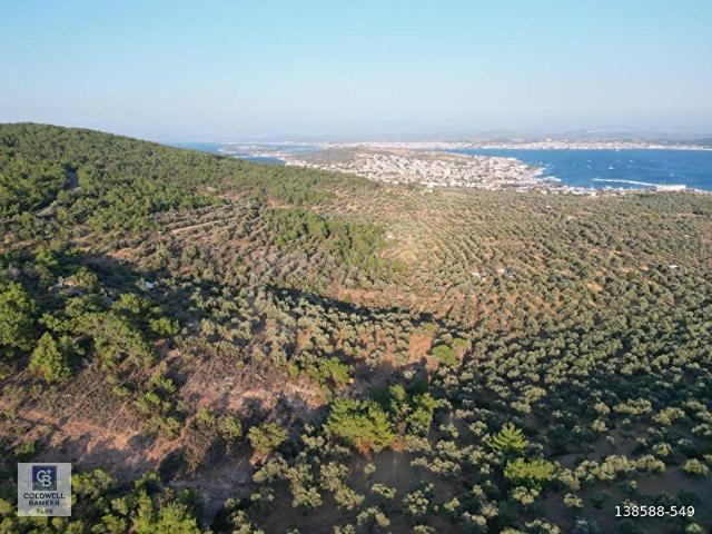 Ayvalik, Balikesir içerisinde satılık mülk
