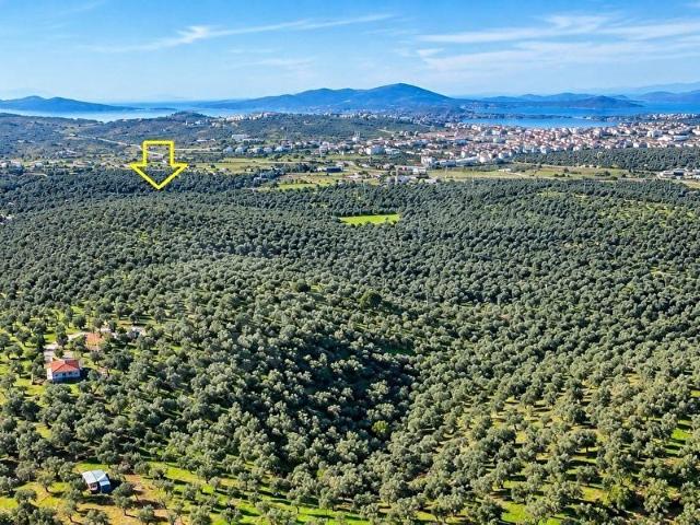 Ayvalik, Balikesir içerisinde satılık mülk