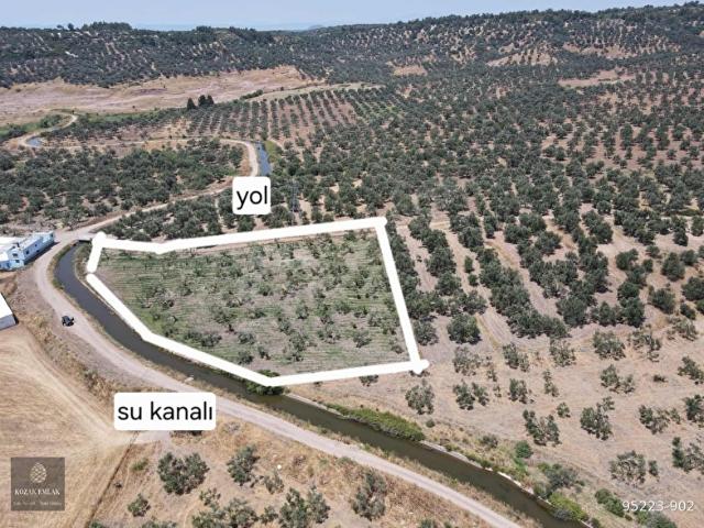 Ayvalik, Balikesir içerisinde satılık mülk