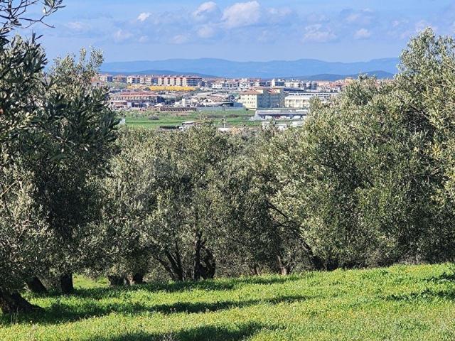 Ayvalik, Balikesir içerisinde satılık mülk
