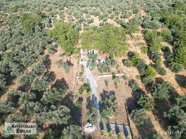 Ayvalik, Balikesir içerisinde satılık mülk