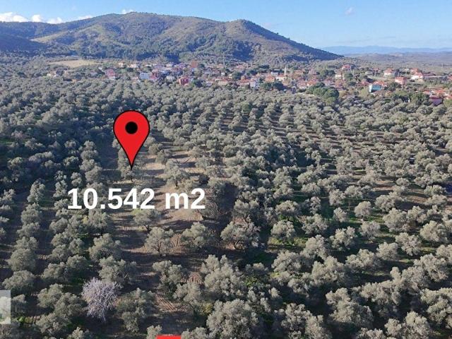 Ayvalik, Balikesir içerisinde satılık mülk