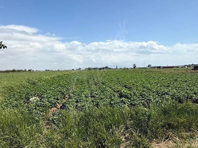 Ayvalik, Balikesir içerisinde satılık Arsa