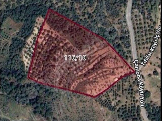 Ayvalik, Balikesir içerisinde satılık mülk