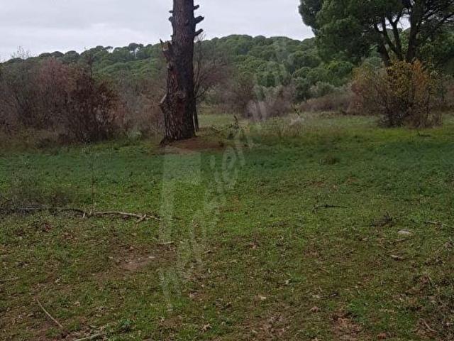 Ayvalik, Balikesir içerisinde satılık Arsa