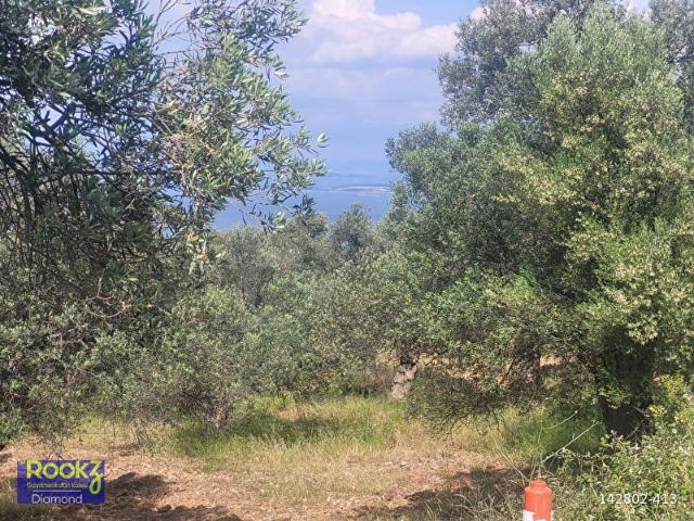 Ayvalik, Balikesir içerisinde satılık mülk