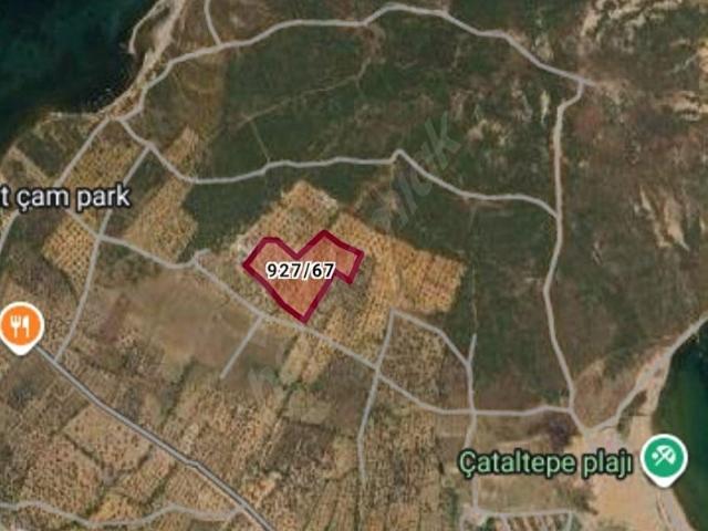 Ayvalik, Balikesir içerisinde satılık mülk