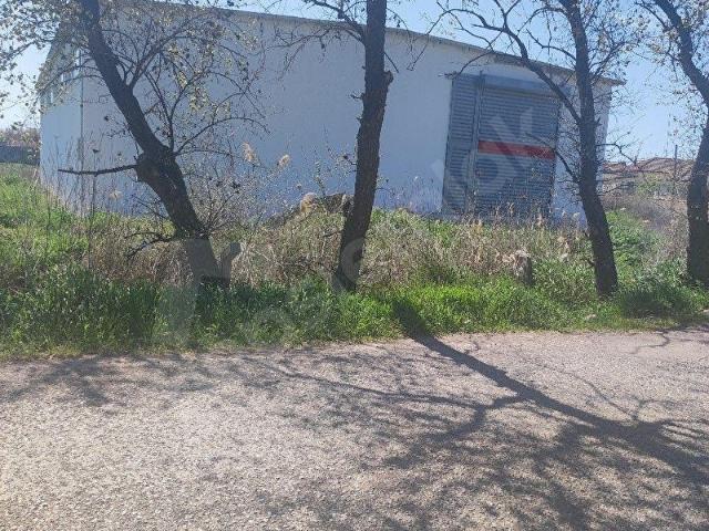 Ayvalik, Balikesir içerisinde satılık Dükkan