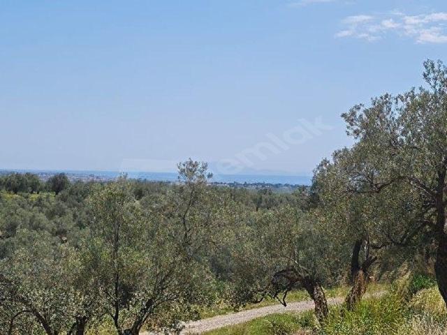 Ayvalik, Balikesir içerisinde satılık mülk