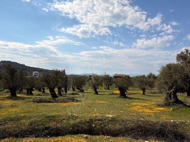 Ayvalik, Balikesir içerisinde satılık mülk