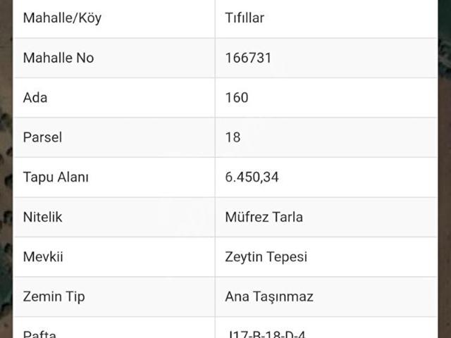 Ayvalik, Balikesir içerisinde satılık mülk