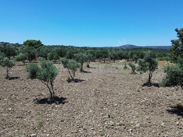 Ayvalik, Balikesir içerisinde satılık mülk