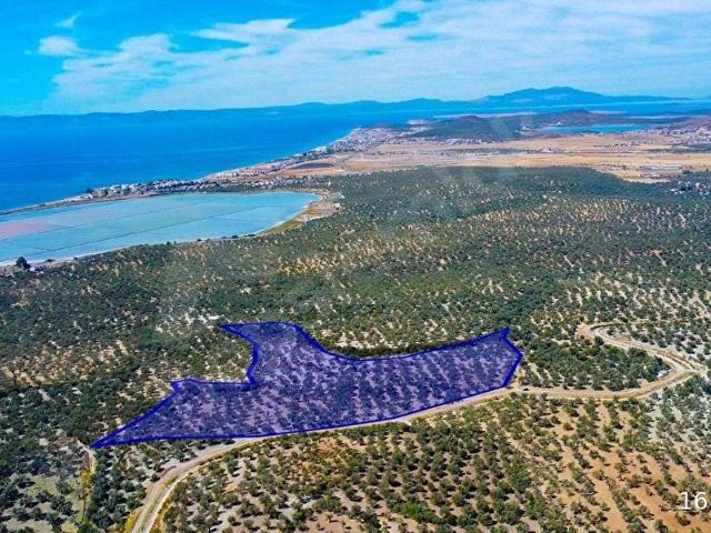 Ayvalik, Balikesir içerisinde satılık mülk