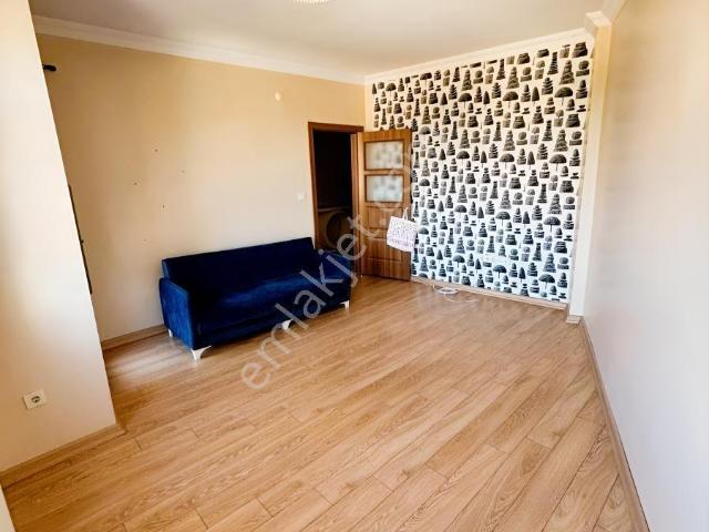 İstanbul Merkez, İstanbul içerisinde kiralık mülk