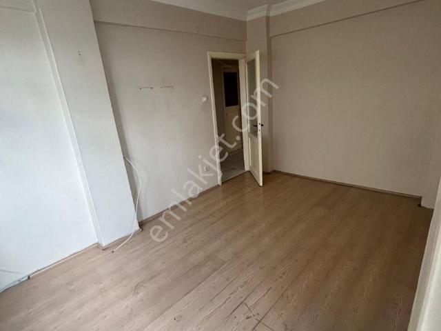 İstanbul Merkez, İstanbul içerisinde kiralık mülk