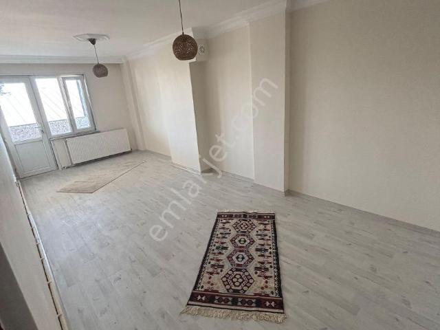 İstanbul Merkez, İstanbul içerisinde kiralık mülk
