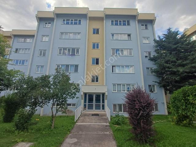 Çankaya, Ankara içerisinde kiralık mülk