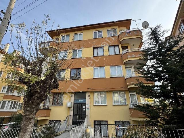 Afyon Merkez, Afyonkarahisar içerisinde kiralık mülk
