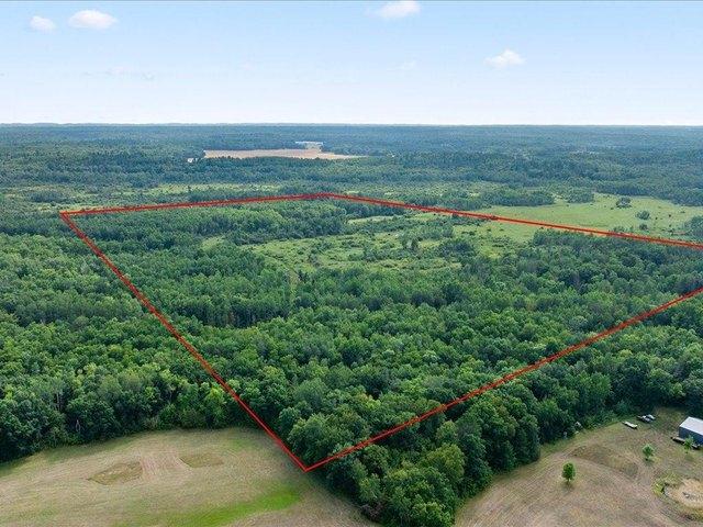 Land for sale in Morrison, Minnesota
