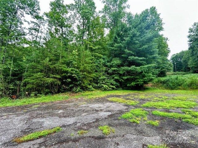 Land for sale in Saluda
