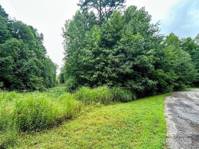 Land for sale in Saluda