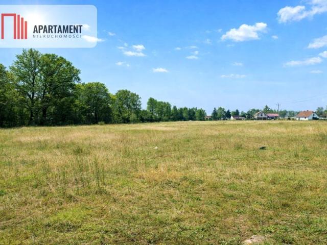 Grunt na sprzedaż w Chełmno, Kujawsko-pomorskie
