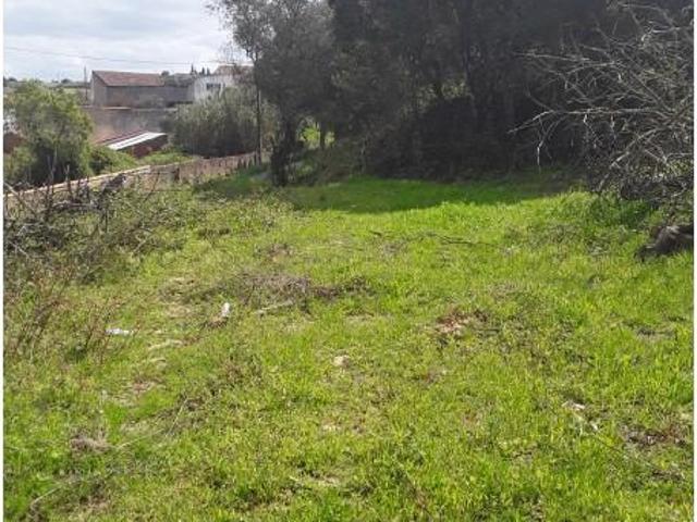Terreno venda em Azambuja, Lisboa