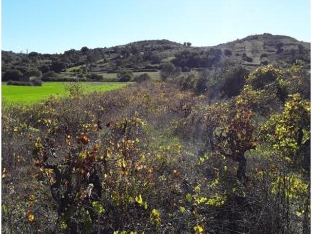 Terreno venda em Azambuja, Lisboa