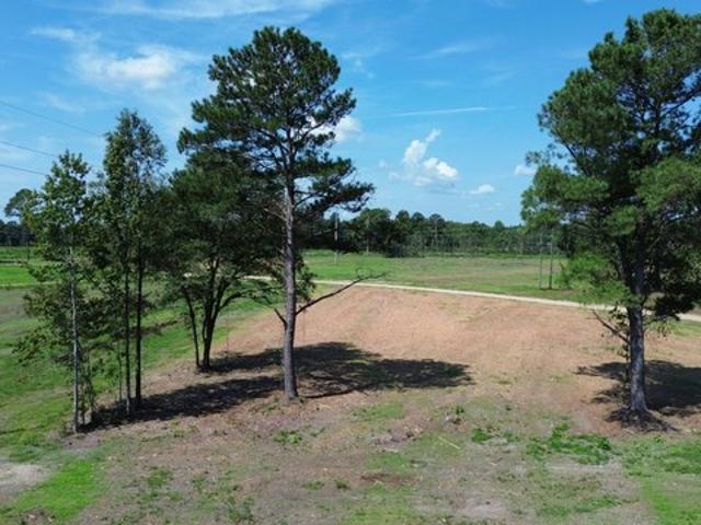 Land for sale in Vance, South Carolina