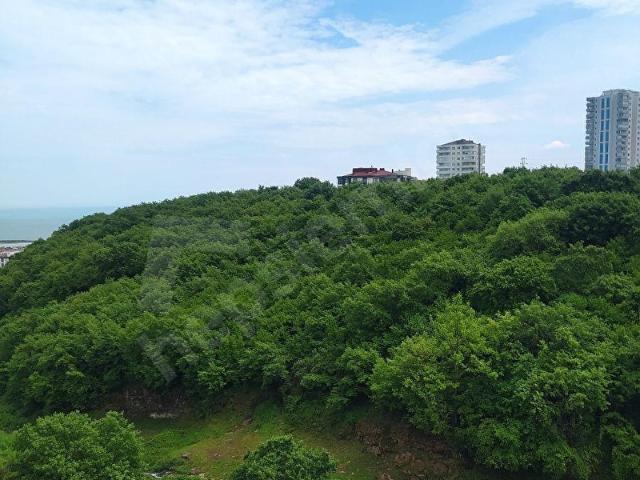 Atakum, Samsun içerisinde satılık mülk