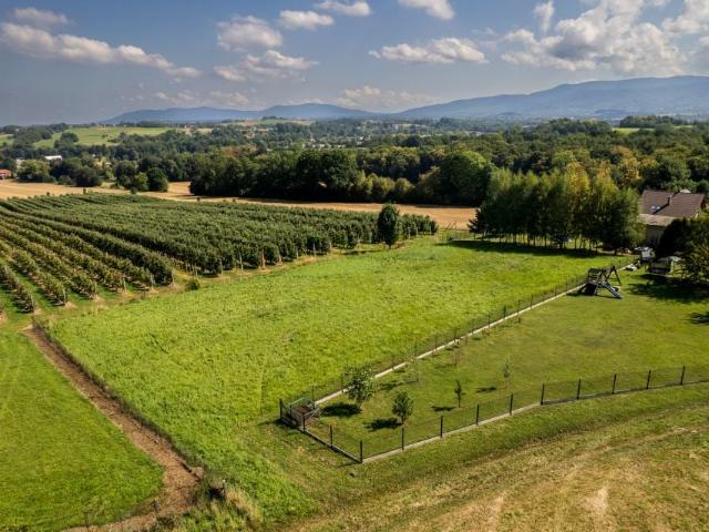 Grunt na sprzedaż w Jasienica, Śląskie