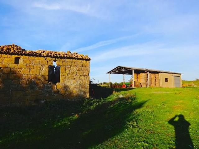Locale Commerciale in vendita a Unione di Comuni Montani Colline del Fiora, Pitigliano